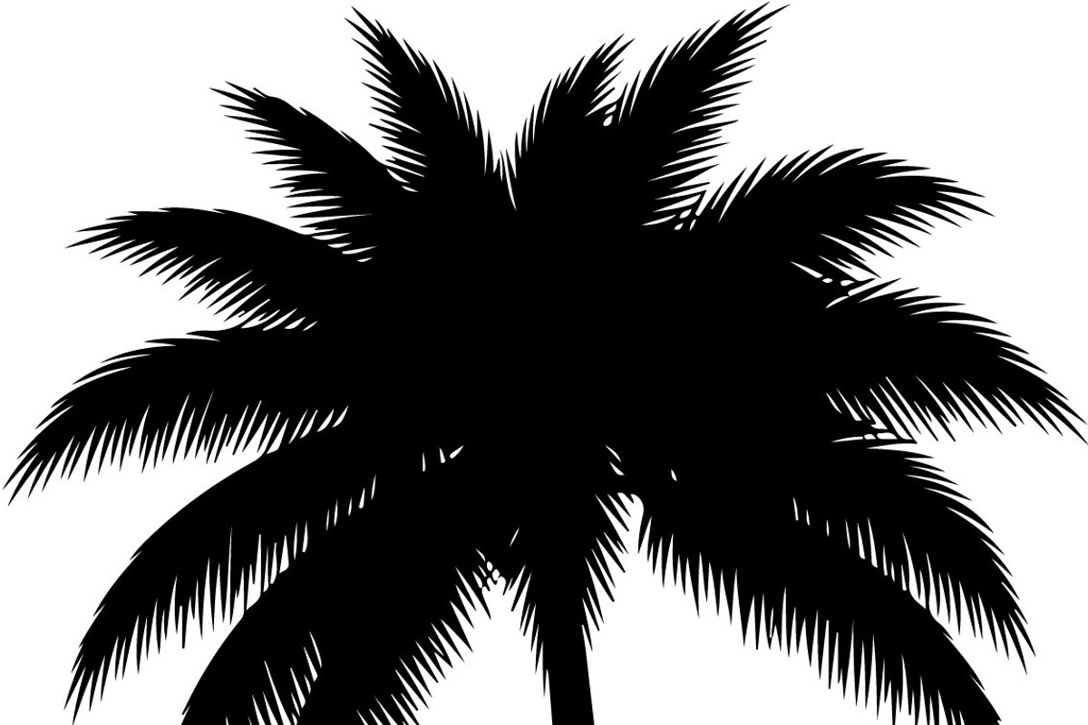 Palm Tree SVG Bundle, an Illustration by Creativeshirt (Photo 6 of 7)