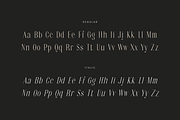 Noctaire - Modern Serif, a Serif Font by Sronstudio (Thumbnail 18 of 18)