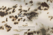 Moss Weather: Fall Backgrounds, a Texture Graphic by Purple (Thumbnail 10 of 11)