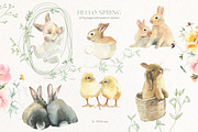 Hello Spring Watercolor ClipArt, an Animal Illustration by whiteheartdesign (Thumbnail 3 of 24)