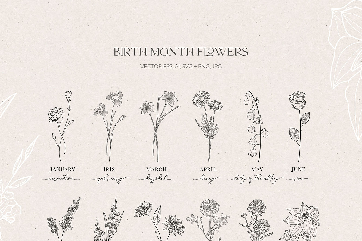 Birth Month Flowers, Botanicals, an Object Graphic by Olya Creative (Photo 3 of 8)