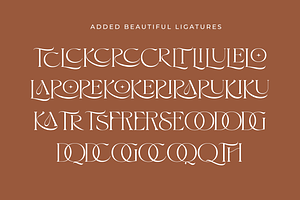 Selaris Modern Serif