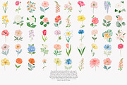 Flower Clipart Huge Bundle, a Decorative Illustration by Patishop Art (Thumbnail 11 of 11)