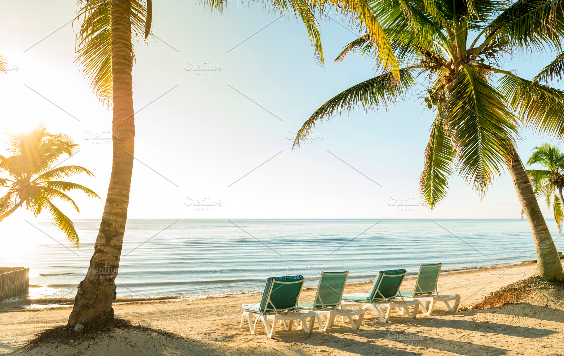 Beach Vacation With Palmtrees And Deckchairs, a Holiday Photo by THP Creative