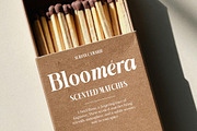 Shiffont Serif, a Serif Font by MasaType (Thumbnail 4 of 12)