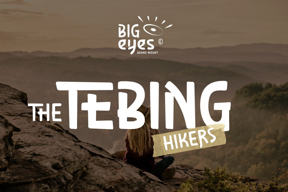 Tebinork - Corporate Display Font, a Handwritten Font by trabaskriya (Photo 9 of 9)