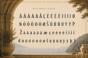 Aurelian - Elegant Serif Typeface, a Serif Font by overlaytemplates (Thumbnail 5 of 5)