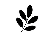 Botanical Leaf Silhouette Bundle, an Illustration by Creativeshirt (Thumbnail 15 of 51)