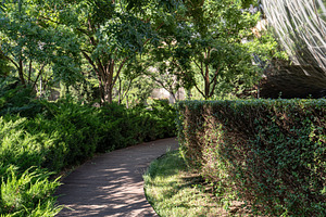 Summer park with walking path, a Nature Photo by Anna Bogush