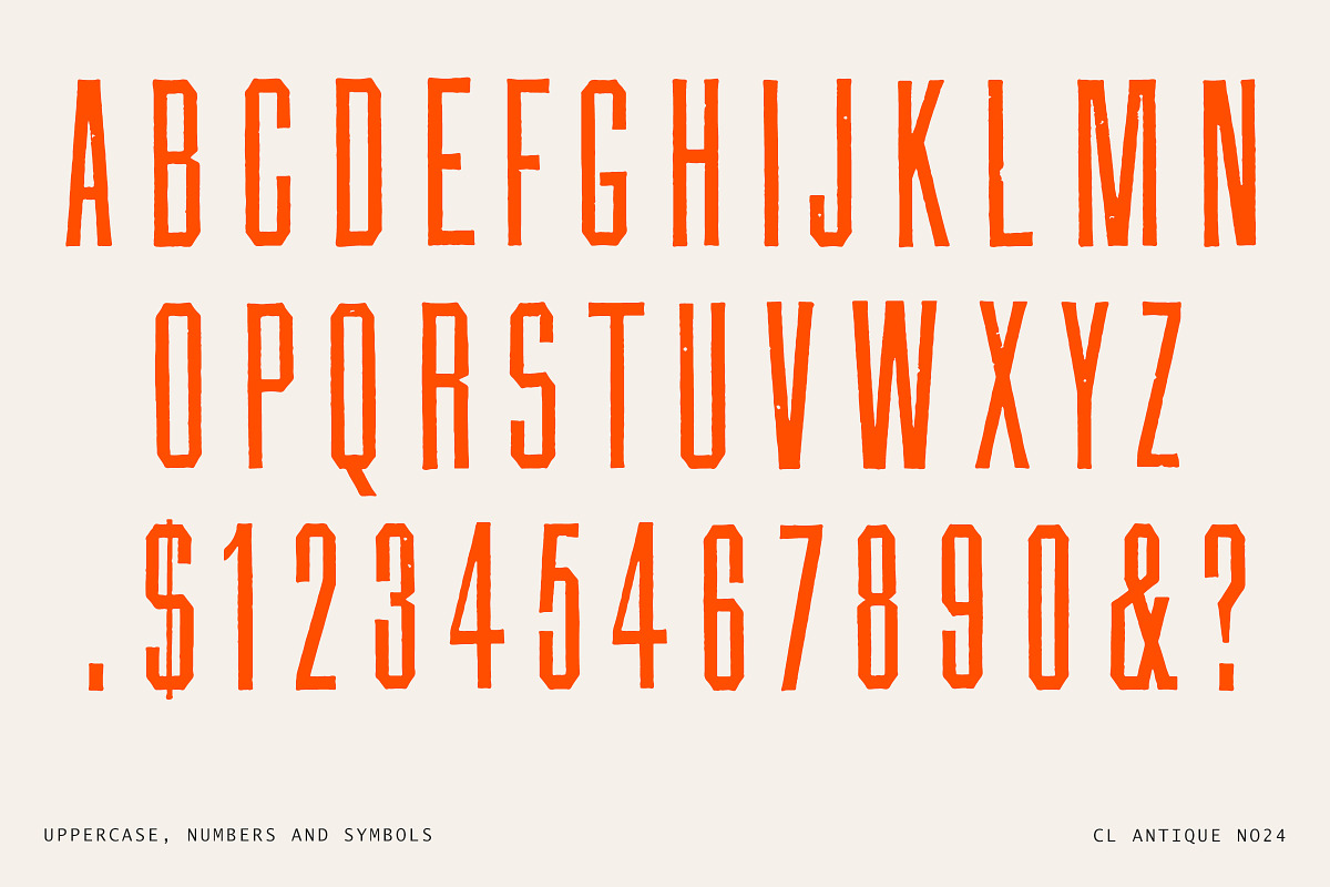 Vintage Tall Sans and Spur Serif, a Sans Serif Font by Century Library (Photo 4 of 5)