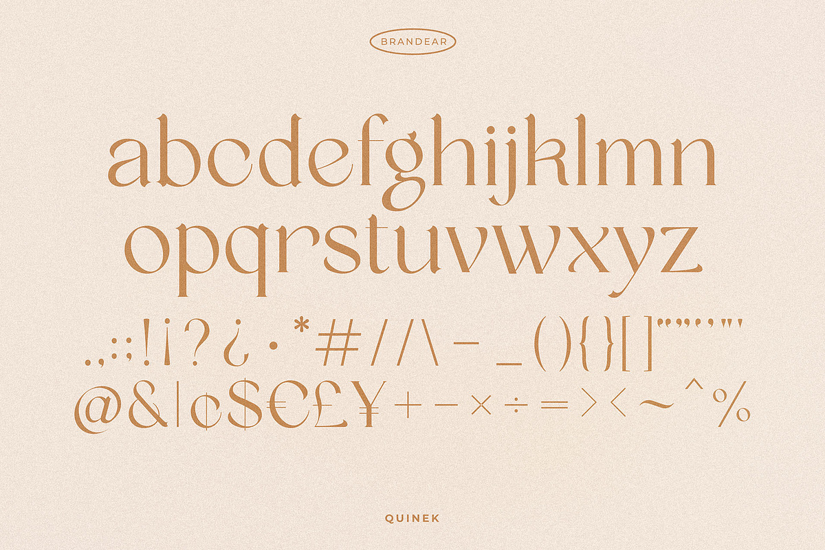 Quinek Elegant Serif, a Serif Font by Brandear Design (Photo 14 of 16)
