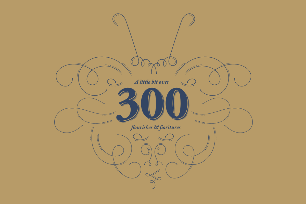 Over 300 Vector Flourishes Elements, an Object Graphic by Damien (Photo 1 of 7)