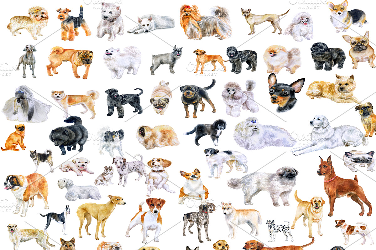 Watercolor Dogs Mega Big Bundle, an Illustration by Dneprstock (Photo 1 of 60)