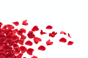 Red rose petals on white background, a Nature Photo by AlyaAnd