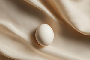 White Egg on Linen Fabric, a Food & Drink Photo by Virgo Studio