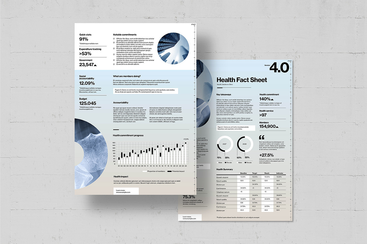 Factsheet Template, a Flyer Template by BrandPacks
