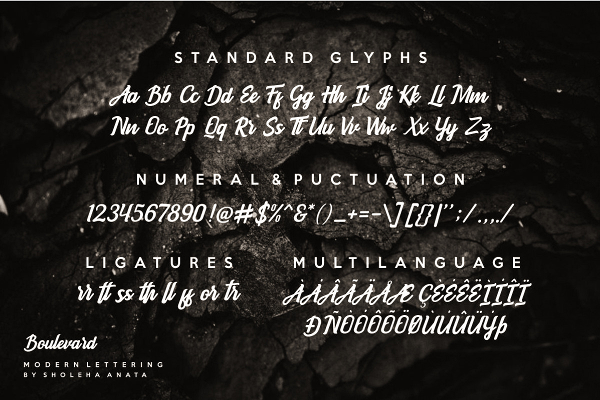 Boulevard - Modern Lettering, a Script Font by Anatadesign (Photo 9 of 10)