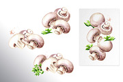 Mushrooms. Watercolor collection, a Food Illustration by Daria Ustiugova (Thumbnail 3 of 7)