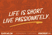 Black Willow - Handbrush, a Font by Krakenbox Studio (Thumbnail 9 of 12)