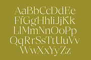 Bigest Karath Thin Serif Display, a Serif Font by timelesstype.co (Thumbnail 14 of 20)