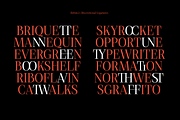 Debira — 14 Fonts, a Serif Font by Nasir Udin (Thumbnail 12 of 12)