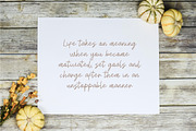 Robertta Handwriting Script Font, a Script Font by NTC Graphic (Thumbnail 6 of 9)