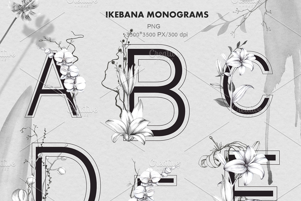 IKEBANA. Botanical Winter Kit., an Illustration by Pink Ocean (Photo 7 of 16)