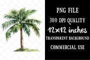 Tropical Clipart Bundle, an Illustration by Designking (Thumbnail 4 of 5)