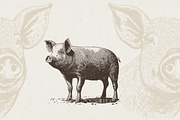 Farm Animals Illustrations, an Animal Illustration by Nocturnal Wolf (Thumbnail 7 of 14)