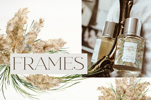 Pampas Grass Watercolor Abstract Set