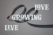 Glaster Elegant Ligature Serif Font, a Serif Font by Font Kingdom (Thumbnail 3 of 11)