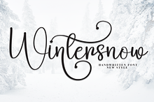 Wintersnow | Script Font