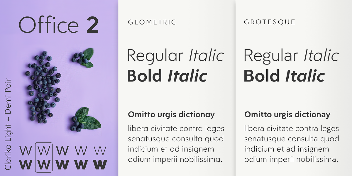 Clarika Office, a Sans Serif Font by Wild Edge (Photo 4 of 9)