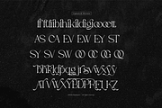 Evoxsy | Elegant Serif, a Serif Font by gracetype_studio (Thumbnail 11 of 12)