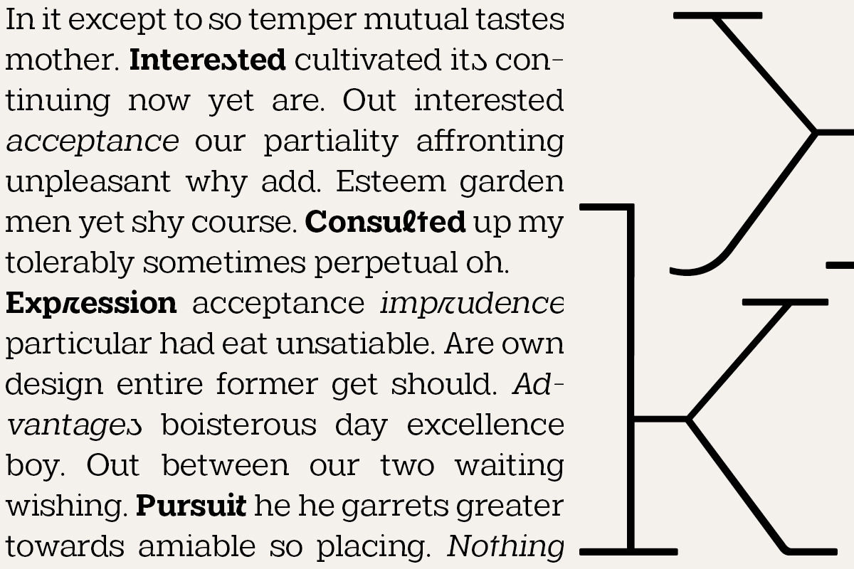 Midles Slab, a Slab Serif Font by Attract Studio (Photo 14 of 15)