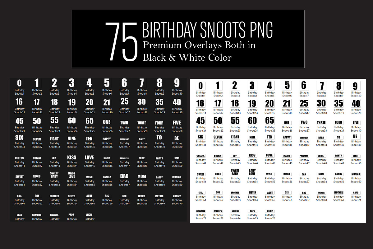 Birthday Snoots Digital Overlays, a Preset Add-On by Chipshpow Graphics (Photo 2 of 10)