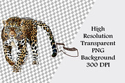 Watercolor Wild Cats Clipart Set, an Animal Illustration by CropUp Creative (Thumbnail 3 of 4)