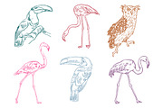 TROPIC SET, an Animal Illustration by Tanya Akhmett (Thumbnail 4 of 5)