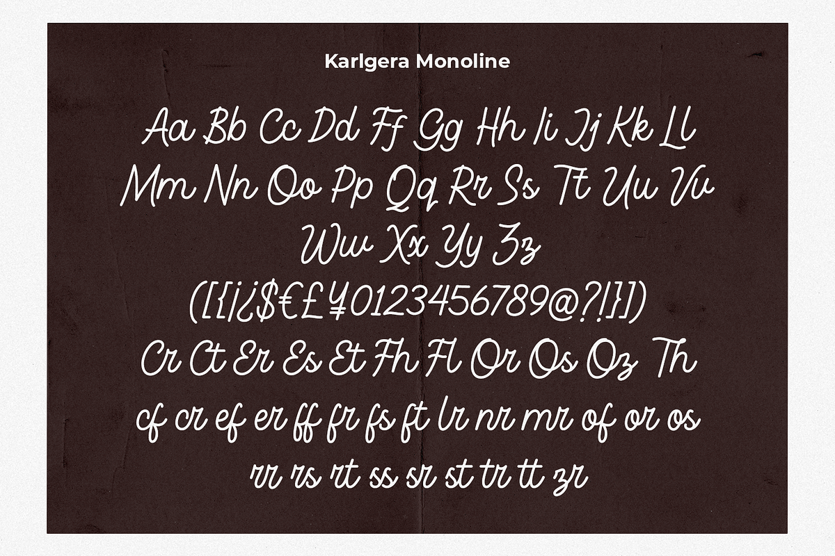 Karlgera - Monoline Script, a Script Font by Haps Space (Photo 8 of 10)