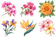 Bright Summer Flower Clipart, an Illustration by Watercolor design (Thumbnail 3 of 11)