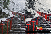 50 Wonderland Lightroom Presets LUTs, a Preset Add-On by SparkleStock (Thumbnail 6 of 10)
