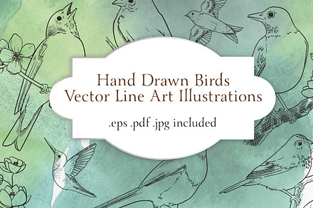 Vector Bird Line Art Illustrations