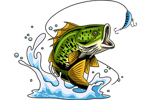 Aggressive Bass Fish
