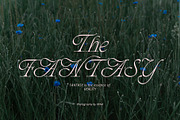 ED Phoebe, a Serif Font by Emyself Design (Thumbnail 6 of 12)