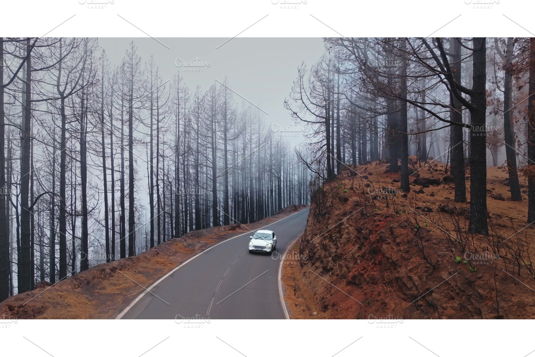White car driving through burnt, a Nature Photo by Goinyk
