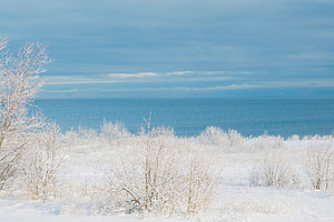 Snow covered coast with frozen trees near blue sea in winter, mi, a Photo by Pictures for you!!!!!!!!!