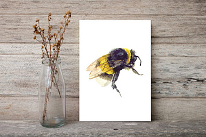 Bee Clipart Watercolor Insect Art