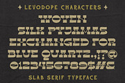 Levo Dope + Extras, a Slab Serif Font by Sitintahitam (Thumbnail 3 of 10)