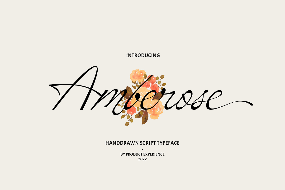 Amberose - Handdrawn Script, a Script Font by Product Experience (Photo 1 of 8)