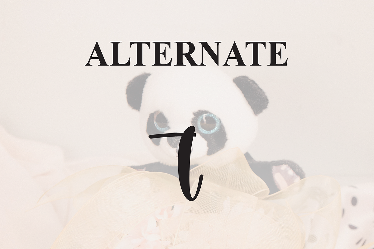 Rustic Panda | Script Font, a Handwritten Font by Scratchones (Photo 8 of 9)